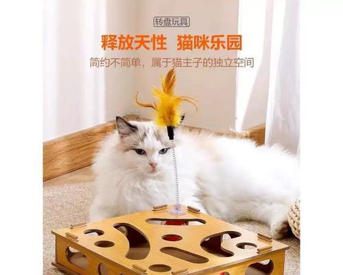 玩转以猫关盒子游戏攻略（挑战无尽谜题，成为盒子大师）