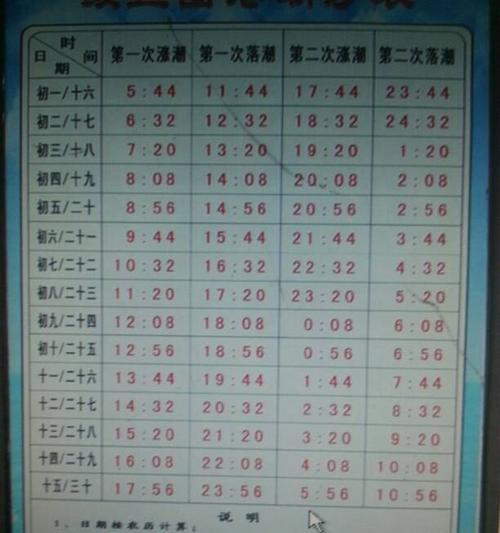 鲅鱼圈赶海攻略（掌握赶海的关键，让你丰收无忧）