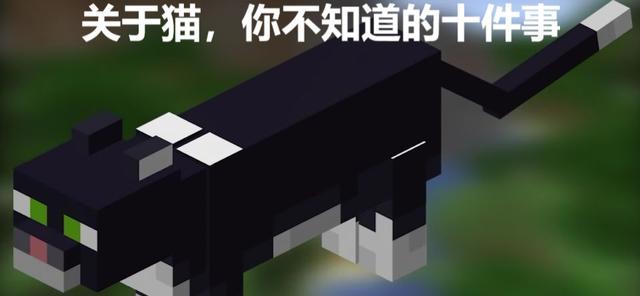 《探寻树枫龙的起源》（如何抓取树枫龙刷新位置）